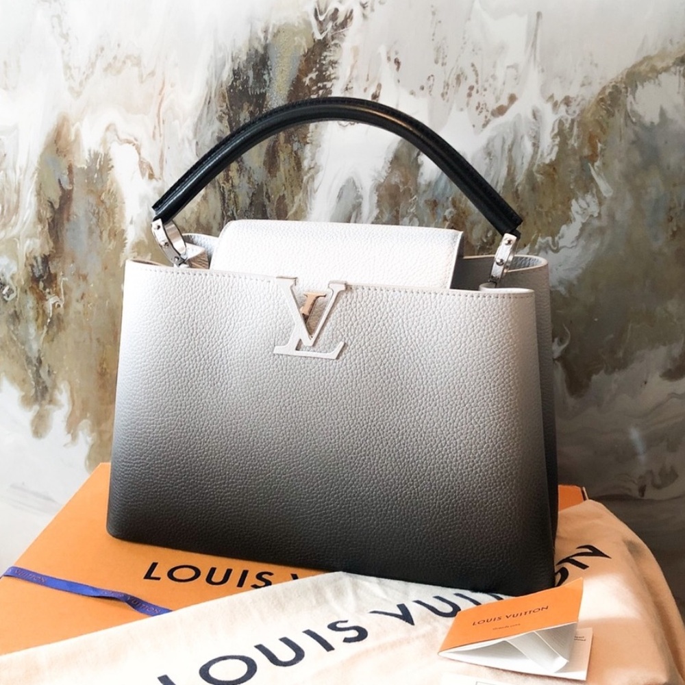 Rare Louis Vuitton Ombré Capucines MM Leather Bag